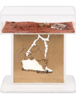 acrylic-model-t-kit-15x15x15-ants-nests-kits-anthouse