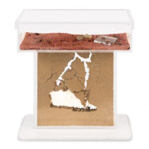 Medium Wall Mounted Sand Ant Farm 25x20x1cm with Free Ant Colony