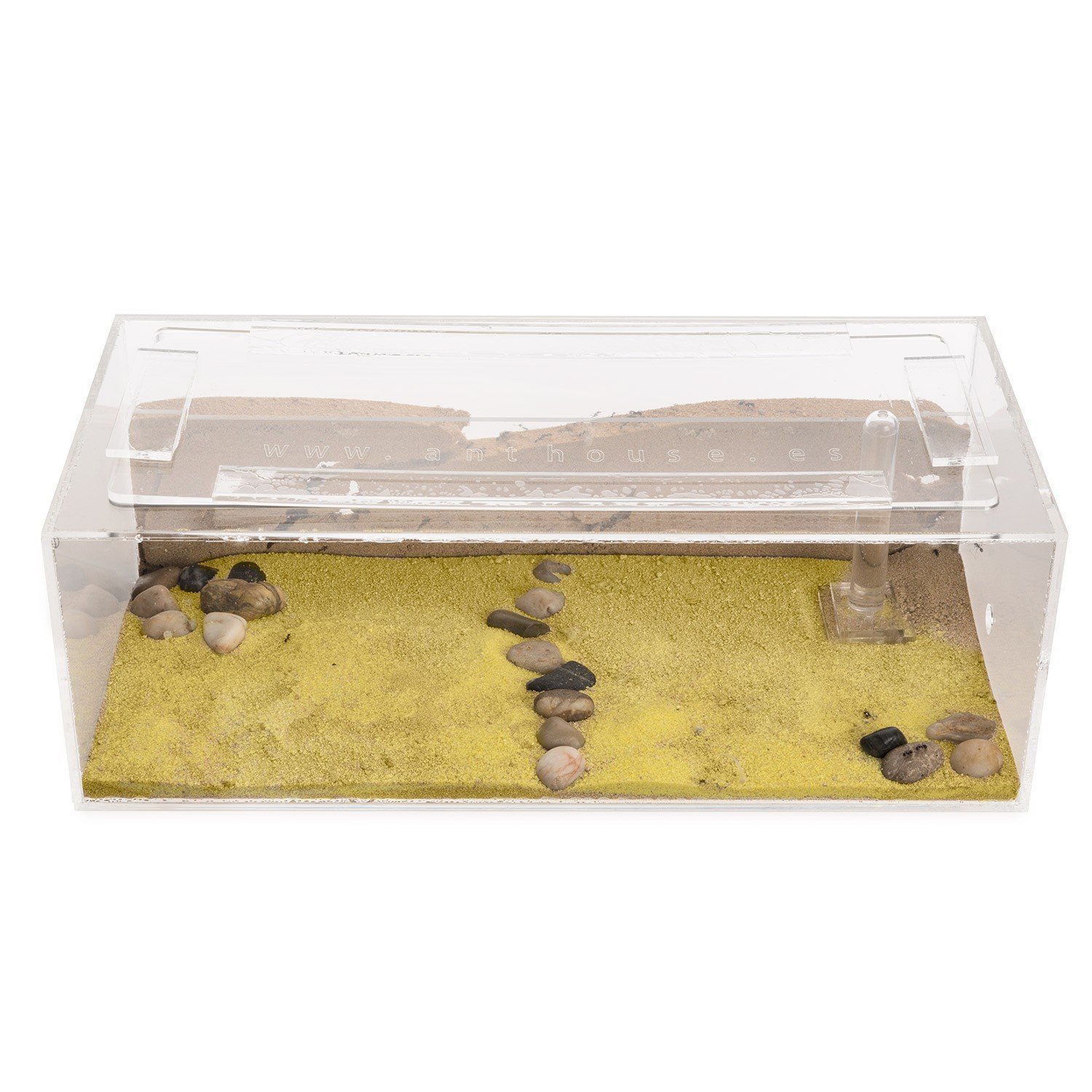 Large Ant Farm Fish Tank Including Free Queen Ant Colony