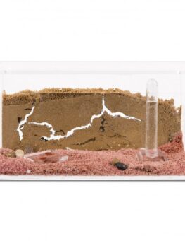 acrylic-starter-kit-ants-nests-kits