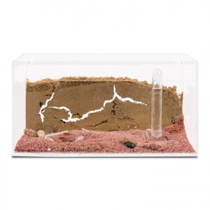 Ant Farm Big Acrylic 20x20x1 with lid