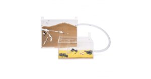 Medium Wall Mounted Sand Ant Farm