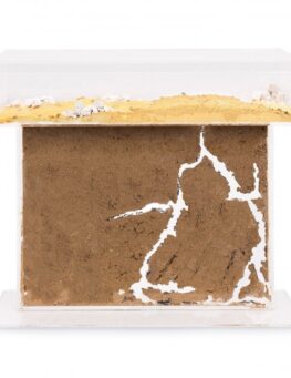 acrylic-model-t-kit-big-25x20x15-ants-nests-kits-anthouse