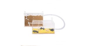 anthouse-wall-kit-mini-ants-nests-kits-anthouse