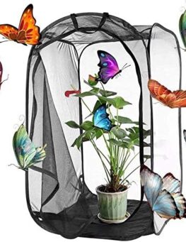 Butterfly Enclosure 59x61x91cm