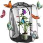 Butterfly Enclosure 59x61x91cm