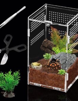 Jumping Spider Enclosure 12X12X20cm