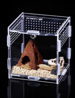 Jumping Spider Enclosure 9x9x9.5cm