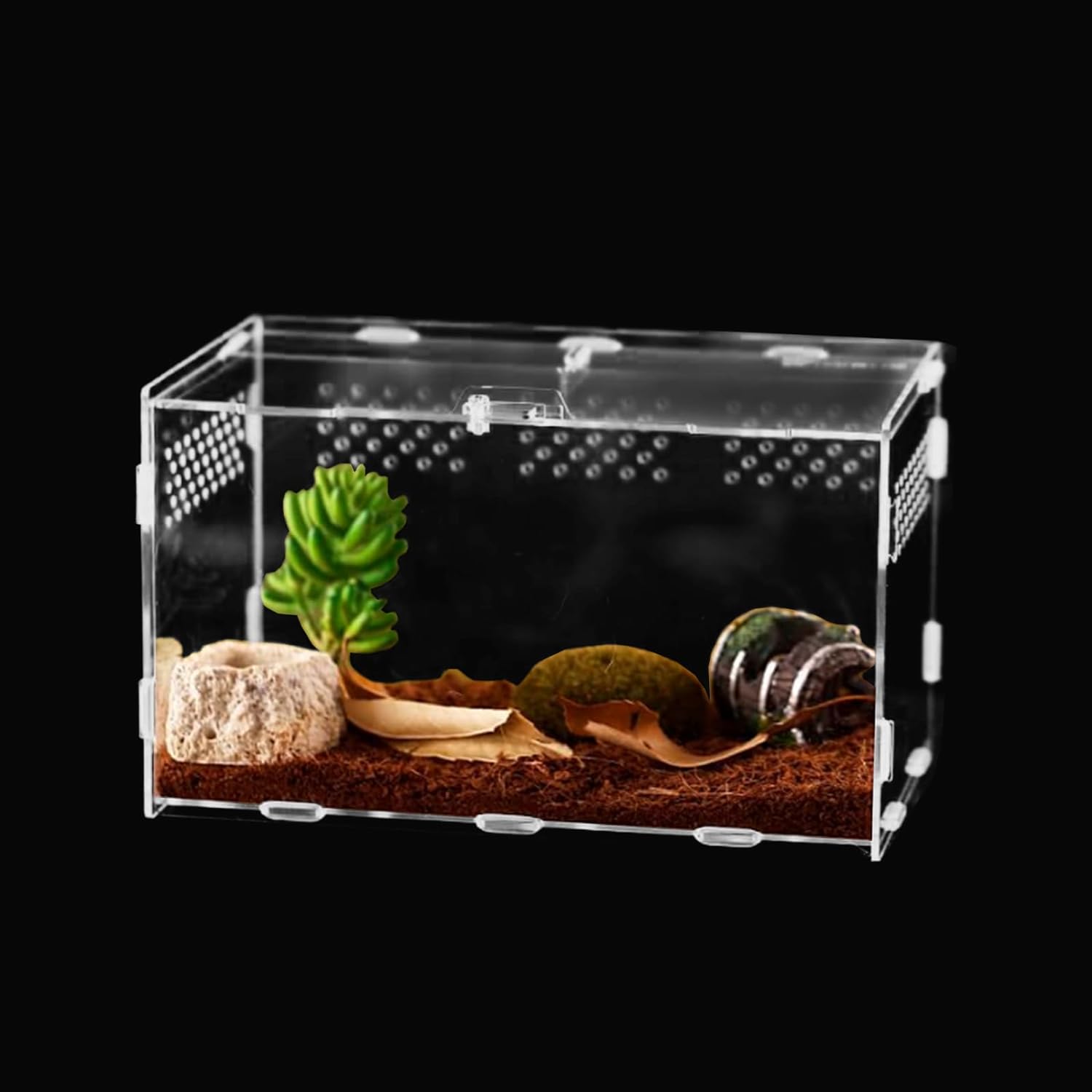 Jumping Spider Terrarium With Locking Hatch 4x4x8 Inch