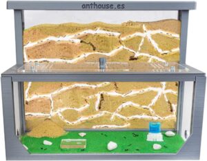 Natural Sand Ant Farm Kit Large 30x15x10 cm