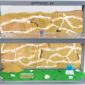 Natural Sand Ant Farm Kit Large 30x15x10 cm