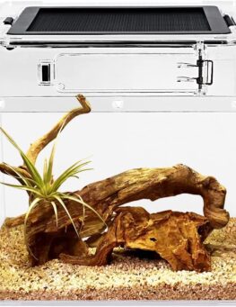 Stick Insect Terrarium 8x8x8