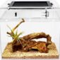 Stick Insect Terrarium 8x8x8