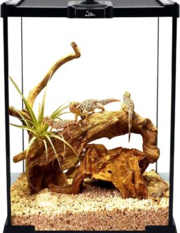 Stick Insects Terrarium 8x8x12