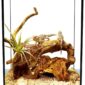 Stick Insects Terrarium 8x8x12