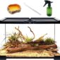 Stick Insects Terrarium 12x8x6.5